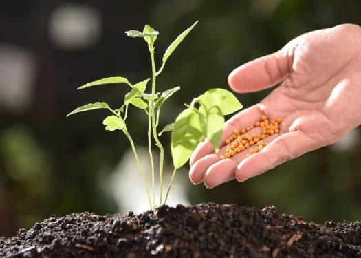 Green fertiliziers